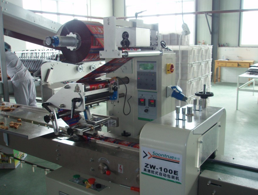 Automatic Hot Ink Roll Coder with 20 Characters per Line and 1 Year Warranty for Expiry Date Printing